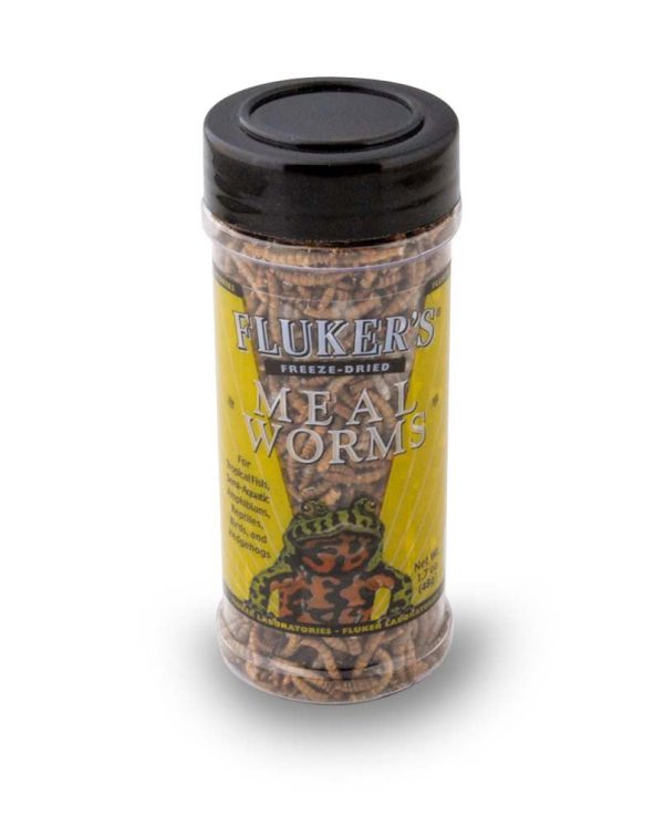 Fluker s Freeze Dried Mealworms Reptile Food 1ea 1.7 oz Fashion