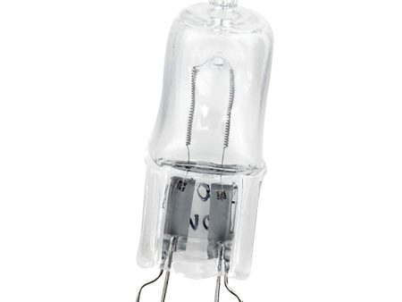 Zilla Light & Heat Mini Halogen Bulbs Day White 1ea 25 W Online now