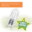 Zilla Light & Heat Mini Halogen Bulbs Day White 1ea 25 W Online now