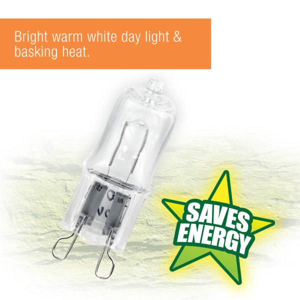 Zilla Light & Heat Mini Halogen Bulbs Day White 1ea 25 W Online now