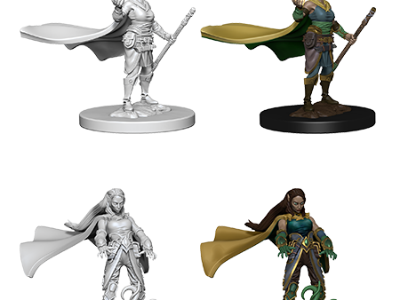 D&D Nolzur s Marvelous Miniatures : Elf Druid Supply