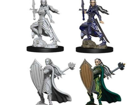 D&D Nolzur s Marvelous Miniatures - Female Elf Paladin Online now