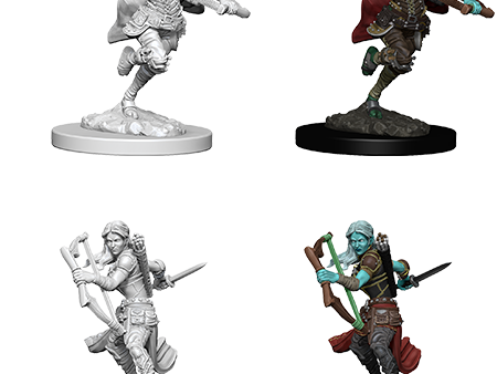 D&D Nolzur s Marvelous Miniatures: Air Genasi Rogue Online