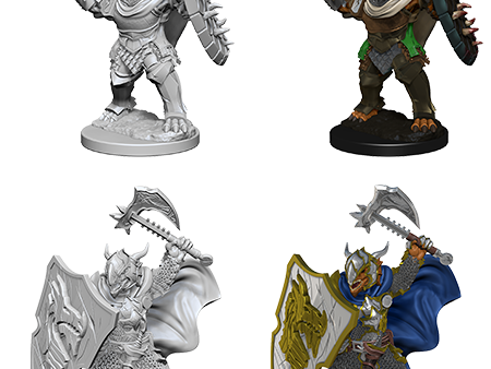 D&D Nolzur s Marvelous Miniatures: Dragonborn Paladin For Sale