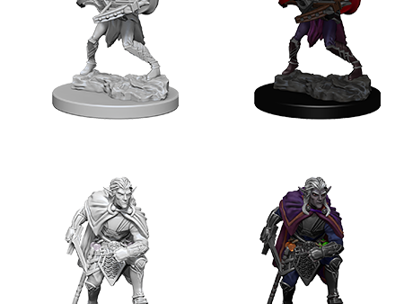 D&D Nolzur s Marvelous Miniatures: Drow Sale