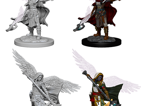 D&D Nolzur s Marvelous Miniatures: Aasimar Wizard Supply