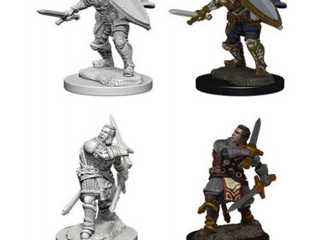 D&D Nolzur s Marvelous Minis - Human Male Paladin Online now