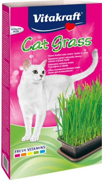 CAT GRASS For Cheap