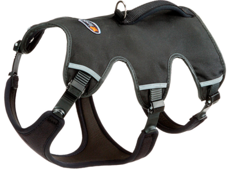 ERGOTREKKING DOG HARNESS Online now