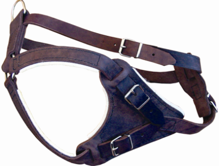 LEATHER DOG HARNESS Online Hot Sale