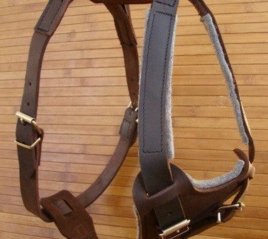 LEATHER DOG HARNESS For Cheap