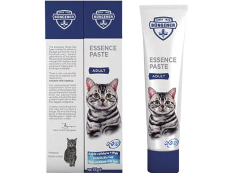 ESSENCE PASTE – ADULT 100G Online Hot Sale