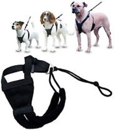 NON-PULL HARNESS Fashion