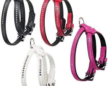 HARNESS MONTE CARLO MEDIUM Online Hot Sale