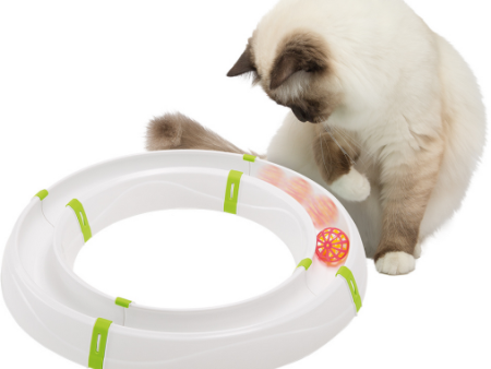 CAT TOY MAGIC CIRCLE CIRCUIT For Discount