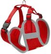 NIKITA DOG HARNESS For Cheap