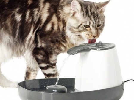 CASCADE SMALL ANIMAL FOUNTAIN Fashion