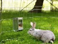 BUNNY-ZINK PLATED RABBIT FEEDER Online