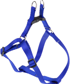 EASY P HARNESS Online Sale