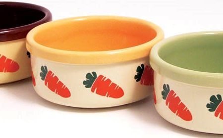 5 IN CERAMIC CARROT BOWL For Sale