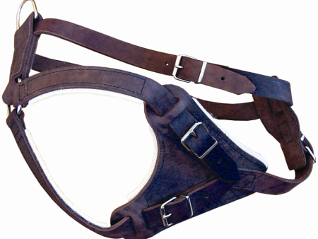 LEATHER DOG HARNESS For Sale