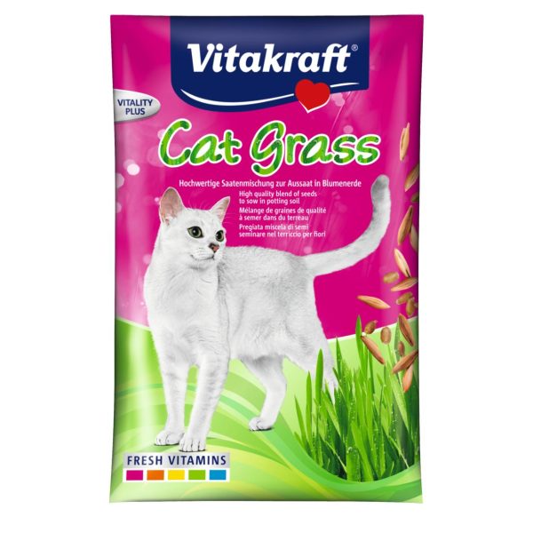 CAT GRASS For Cheap