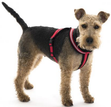 COMFY HARNESS RED Cheap