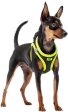 KAORI DOG HARNESS YELLOW For Discount