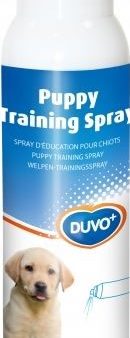 TRAINER SPRAY 125ml Sale