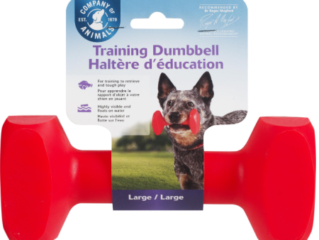 COA TRAINING DUMBBELL For Cheap